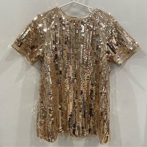NWT H&M Sequin Toddler Dress